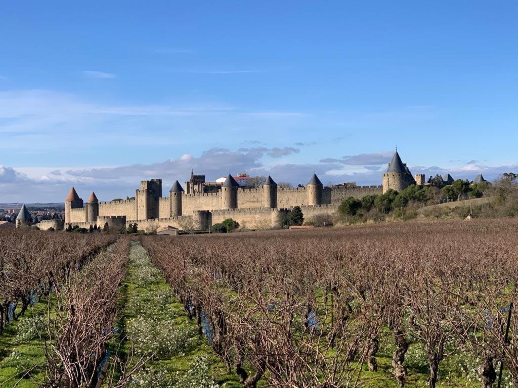 La Cour Carree - Chambres D'Hotes Carcassonne Ngoại thất bức ảnh
